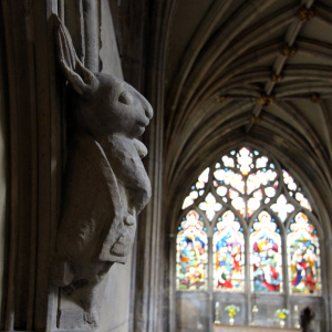 Pilgrim Hare 300x300