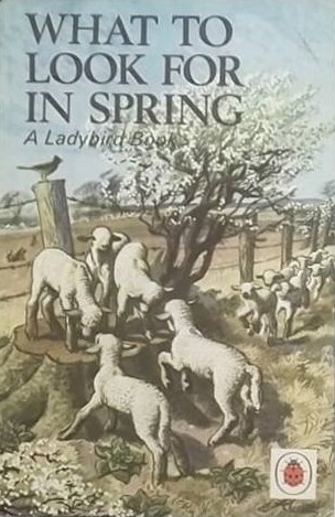 spring book