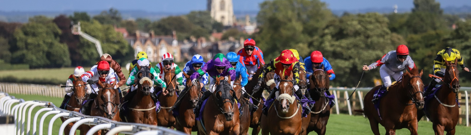 Beverley Racecourse