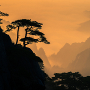 Huangshan with Sea of Clouds, Anhui Province, China